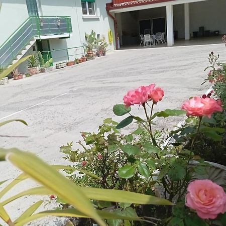 Gorizia Vacanze Appartamento In Villa Con Parcheggio Zewnętrze zdjęcie